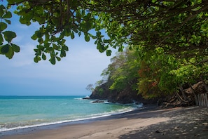 Plage à proximité, chaises longues, serviettes de plage