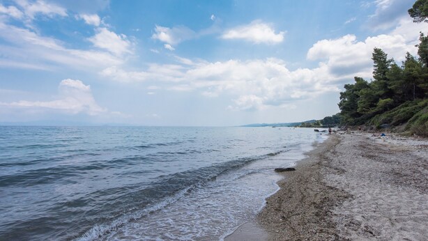Ein Strand mit blauem Himmel und ruhiger See.
