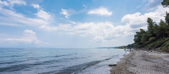 Pines by the Sea by Luxlikehome