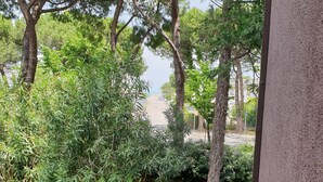 A garden with various trees and shrubs, a paved path, and a view of a street and buildings in the background. - Nice apartment in Silvi Marina "The Pearl of the Adriatic" (Silvi)