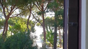 A view through an open door of a garden with trees and a street in the background. - Nice apartment in Silvi Marina "The Pearl of the Adriatic" (Silvi)