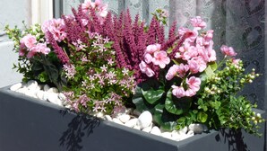 A flower bed with pink and purple flowers, white pebbles, and green foliage. - Apollo Guest House (Hastings)