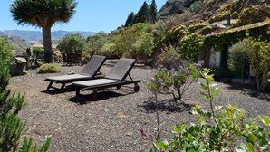 Un jardín con dos sillones de descanso, un árbol grande y diversas plantas.