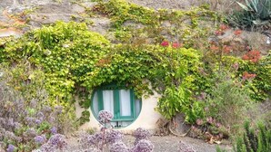 Un jardín con una pequeña ventana redonda rodeada de abundante follaje y plantas florecientes.