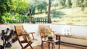 Un patio con dos sillas de madera, una mesa pequeña y una planta en maceta.