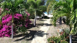 A garden pathway with palm trees and flowering plants. - Rockmere Villa - PANORAMIC OCEAN VIEWS, BEACH .2 MILES, MULTI-UNIT ESTATE (The Baths)