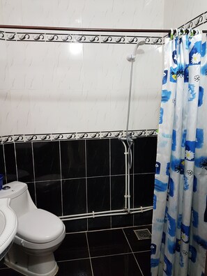 Hair dryer, towels, soap, shampoo