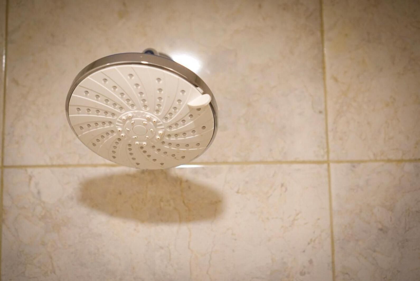 A showerhead with a circular design and multiple nozzles.