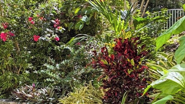 Een weelderige tuin met diverse planten en een stenen muur.