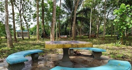 Holis Resort