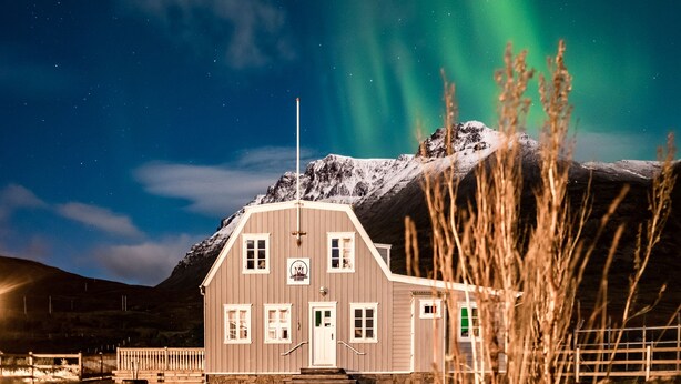 Safari - Sudavik Guesthouse (Súðavík)
