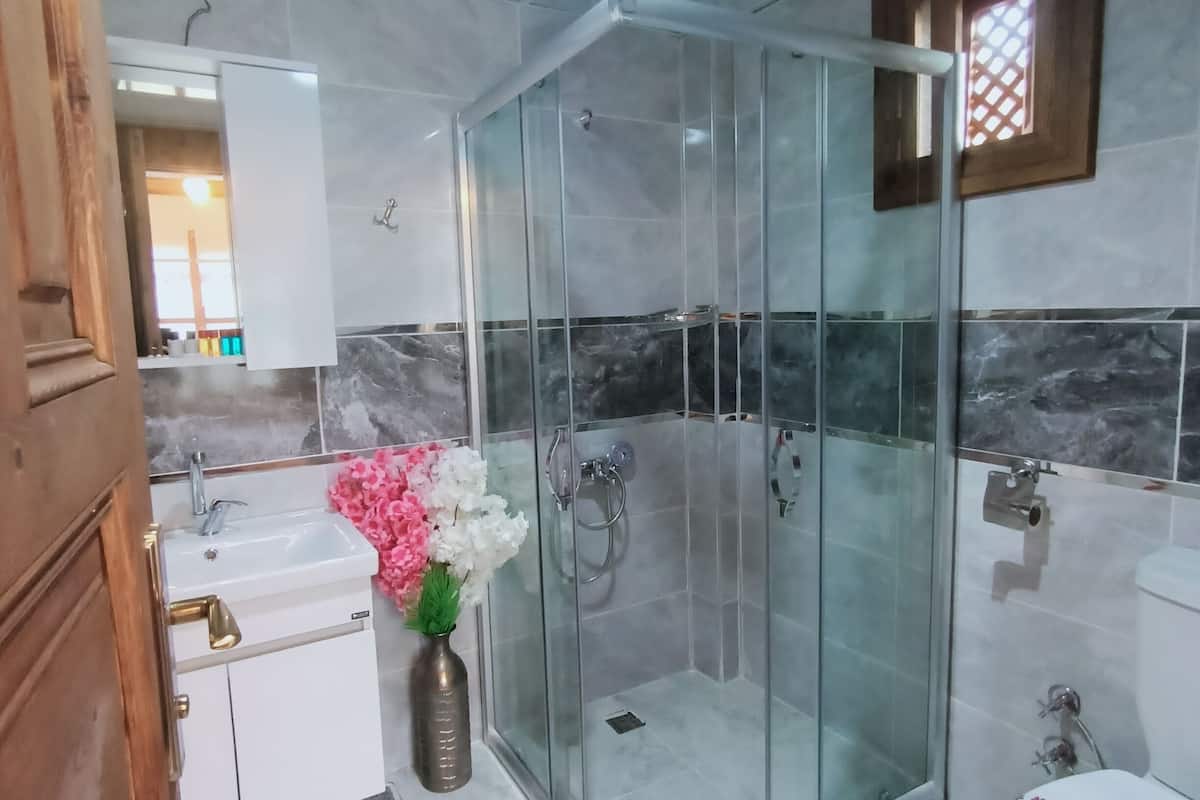 shower, free toiletries, hair dryer, slippers