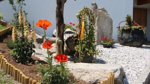 Ein Garten mit Holzzaun, einem Kiesweg und verschiedenen Pflanzen und Blumen.