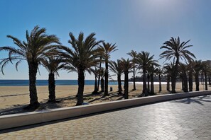 Een geplaveid pad, omzoomd met palmbomen, dat naar een strand leidt.