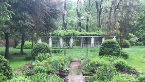 Un jardín con un sendero central, rodeado de diversas plantas y árboles.