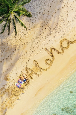 Servicio de la propiedad