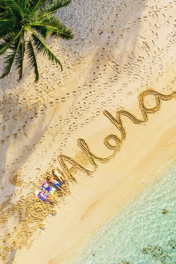 Servicio de la propiedad