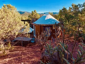 A rustic cabin with a blue roof, surrounded by cacti and trees, set in a dry, rocky landscape.