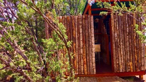 Una cabaña de madera con una puerta que da a un espacio interior, rodeada de árboles.