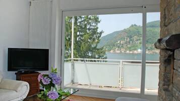 Télévision à écran plat, cheminée