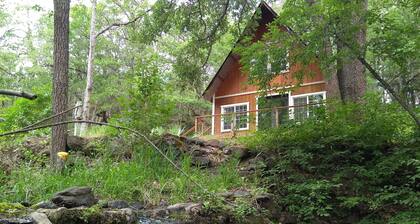 Secluded A-frame in a forest with 40 hectare farm