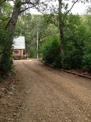 Property grounds - Secluded A-frame in a forest with 40 hectare farm (Wahkiacus)