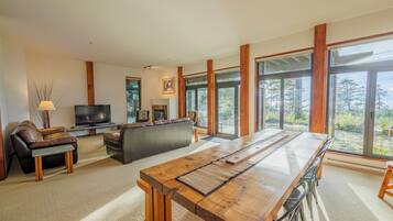 TV connectée, cheminée, livres, chaßne hi-fi