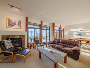 Smart TV, fireplace, books, stereo