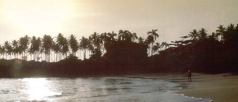 Plage à proximité, chaises longues, serviettes de plage