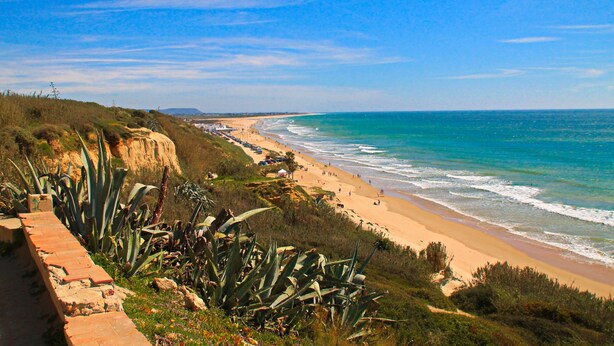 A coastal landscape with a sandy beach, a clear blue sky, and vegetation.