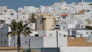 A densely packed urban area with white buildings, a palm tree, and a small tower-like structure.