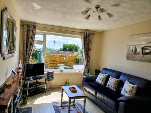 TV, fireplace, DVD player, video library