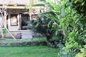 Exterior - The Banyan Menjangan (Pejarakan)