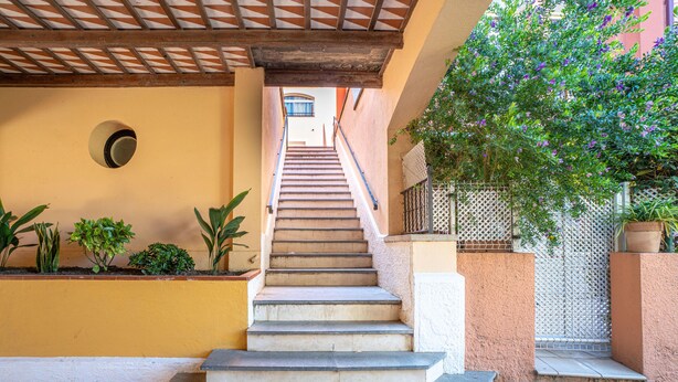 Un escalier menant à l’entrée d’un bâtiment, entouré de plantes en pot et d’une clôture.