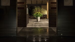 Una entrada con una planta en maceta, dos sillas y un mostrador de recepción.
