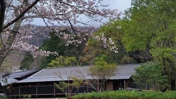 Un edificio tradicional japonés con techo inclinado, rodeado de exuberante vegetación y cerezos en flor.