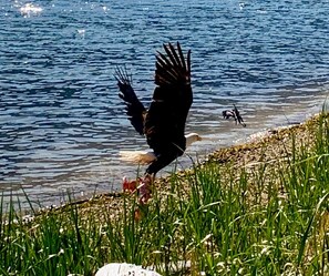 Comfort-Suite | Strand-/Meerblick