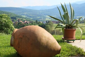 En stor terracotta-potte og en potte med aloe vera på en græsplæne med udsigt til en landsby og bjerge i baggrunden.