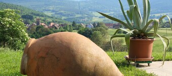 Le Gîte des Orchidées in the heart of nature, panoramic view n°2