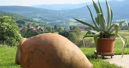 Le Gßte des Orchidées in the heart of nature, panoramic view n°2