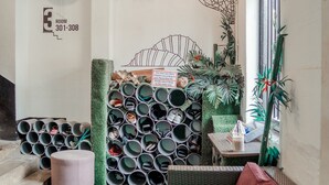 A room with a wall-mounted shoe rack, a wicker sofa, a small table, and a potted plant. - BEAT. Sports Hostel (Singapore)