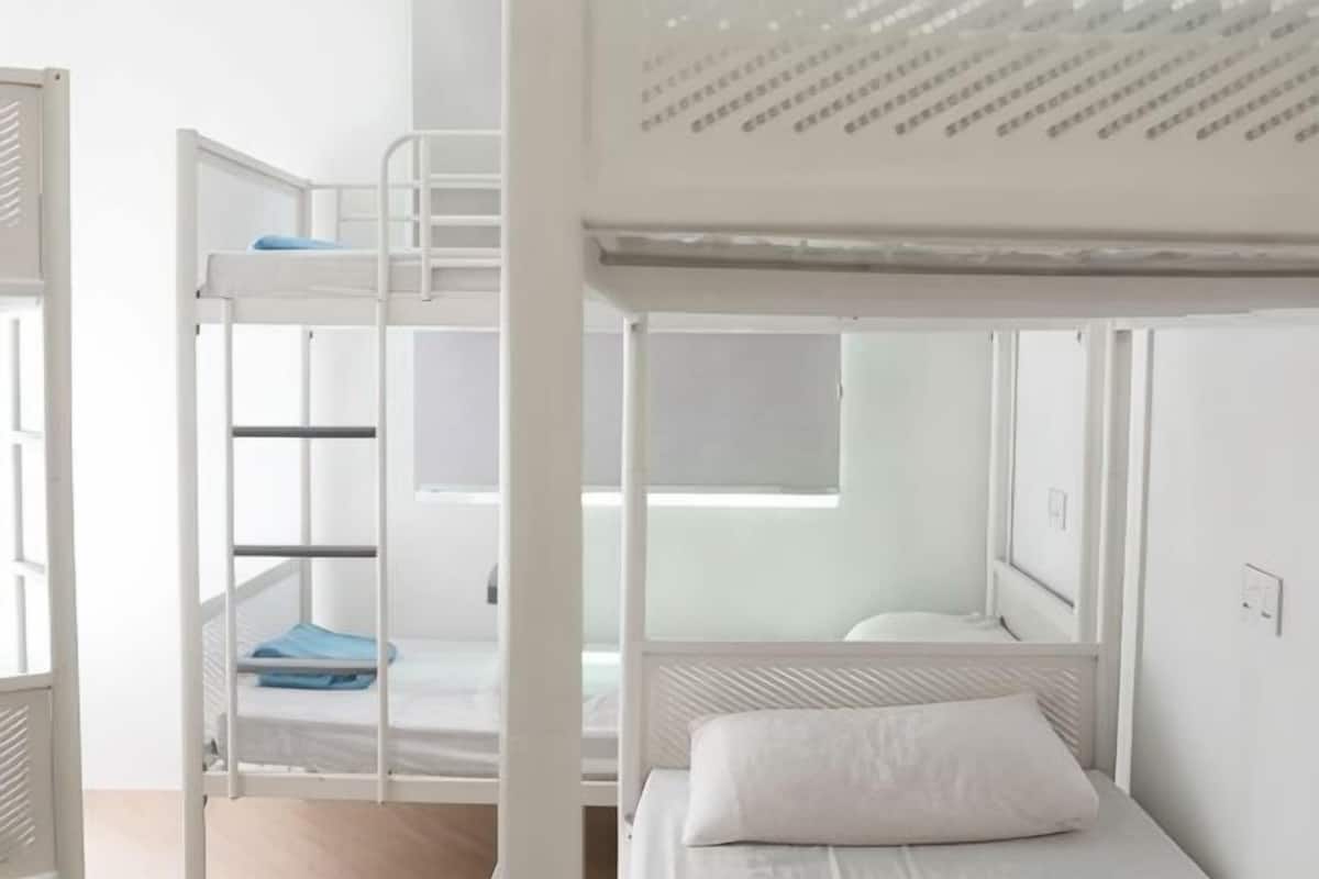 A bunk bed room with a ladder, a window, and a white wall.