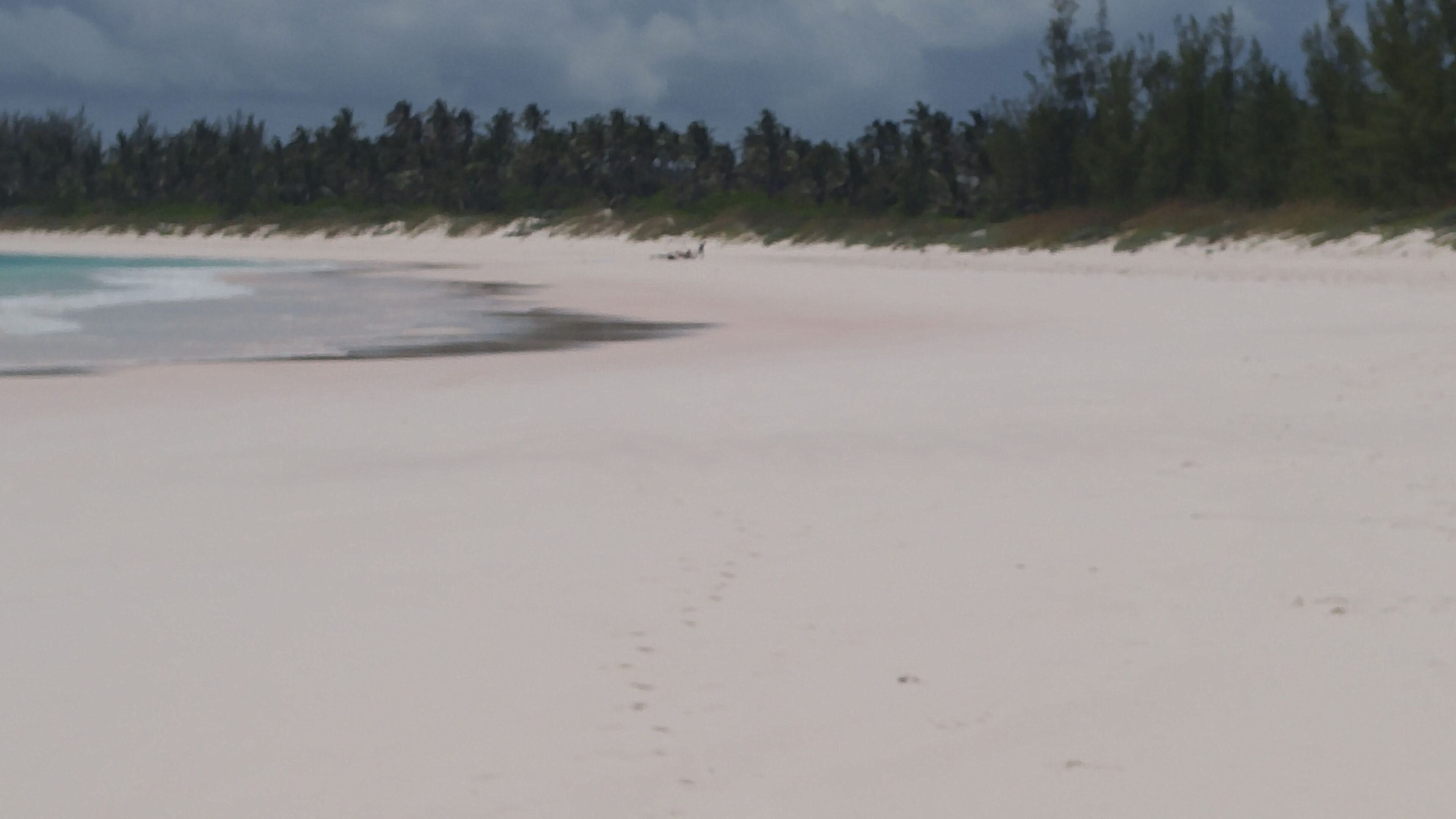 A beach with white sand and a line of trees in the background.