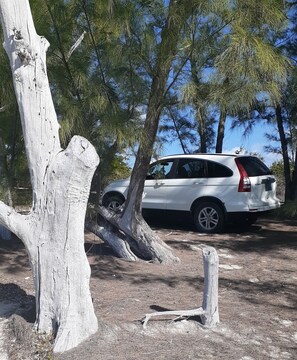 Property grounds - "The Most Convenient Location For Your Vaction" (Governor's Harbour)