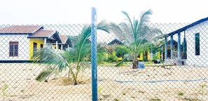 Reception - Exotic Beach Hotel (Pottuvil)