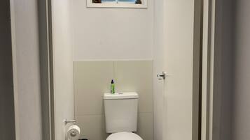 Combined shower/bathtub, hair dryer, towels, soap