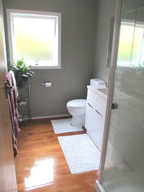Bathroom features a toilet, cabinet with drawers, and a window.