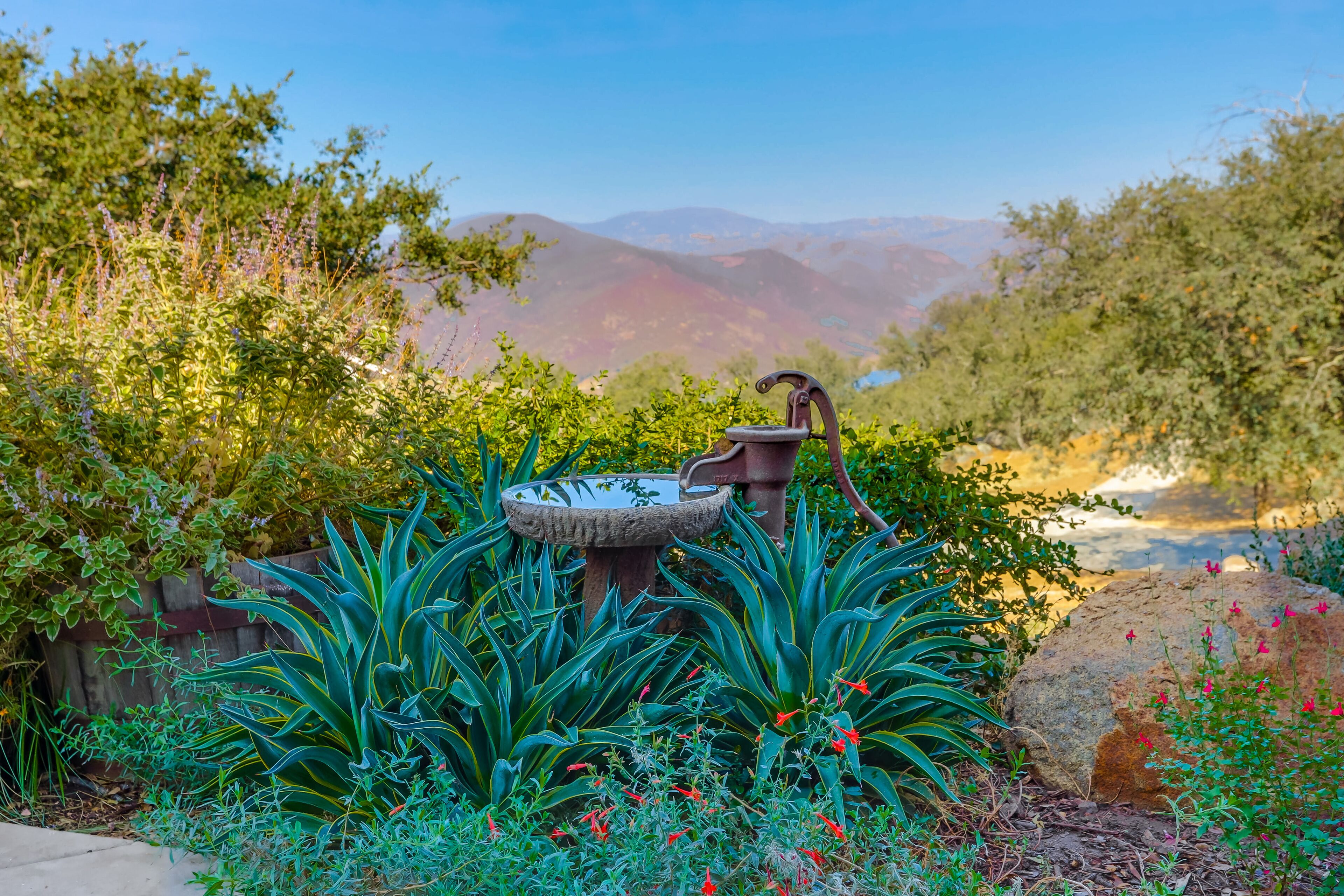 A garden with a birdbath, various plants, and a view of distant mountains.
