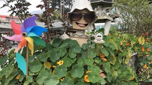A statue with a hat and sunglasses, surrounded by green foliage and flowers. - Zhu Yuan Homestay (Zhuqi)