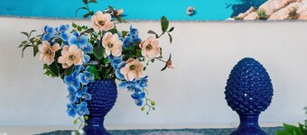 Bed & Breakfast Plaza